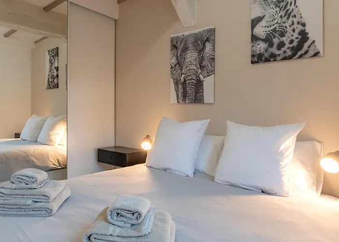 Villa Caron - Appartements Haut De Gamme Avec Chambre Hyper Centre